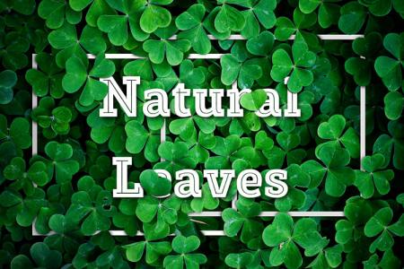 Natural Leaves Text Effect