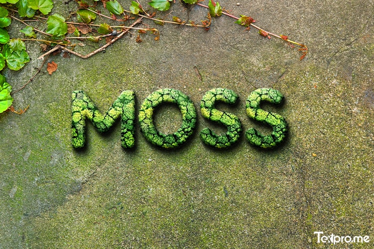 Create realistic 3D moss text effects online